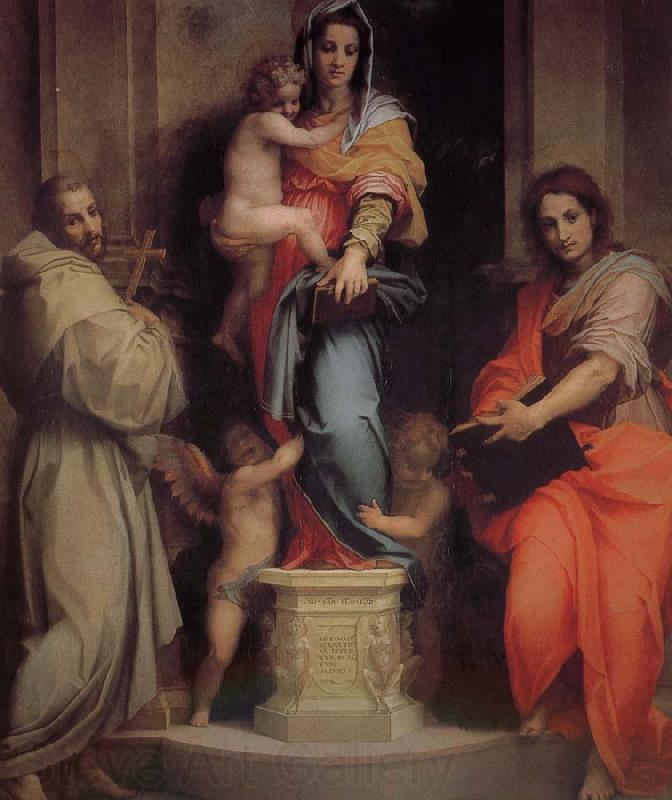 Andrea del Sarto Apia Our Lady of Egypt Spain oil painting art